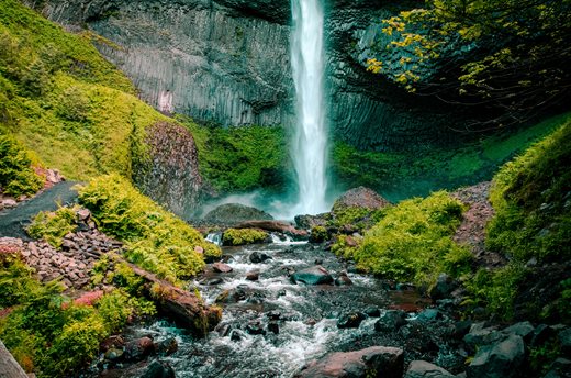 pexels-jonathan-meyer-612999.jpg